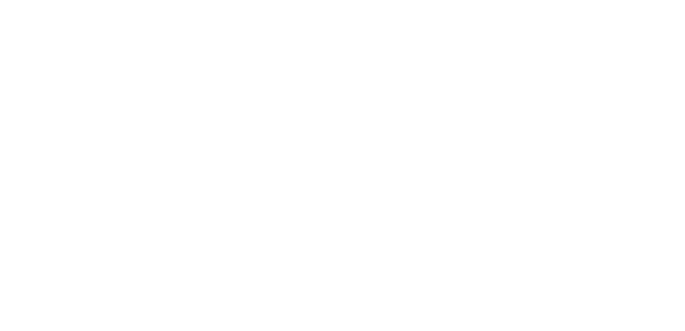 Dubai Chambers program logo